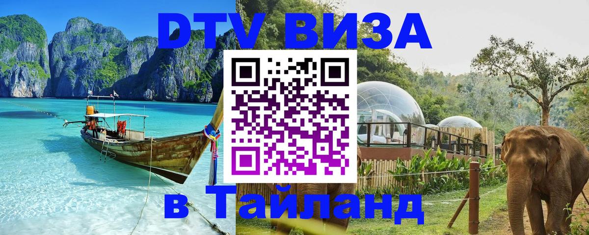 Оформление DTV визы под ключ: стоимость и тарифы, только загранпаспорт - Рубцовск  03.10.2025 